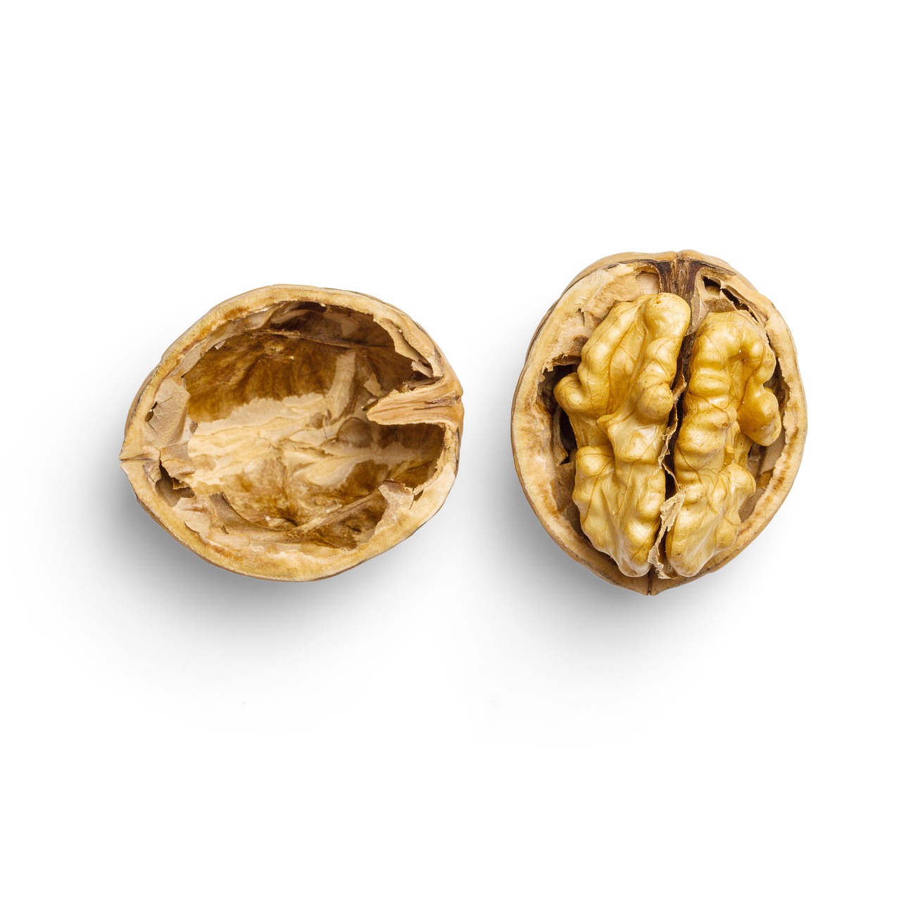 A shelled walnut